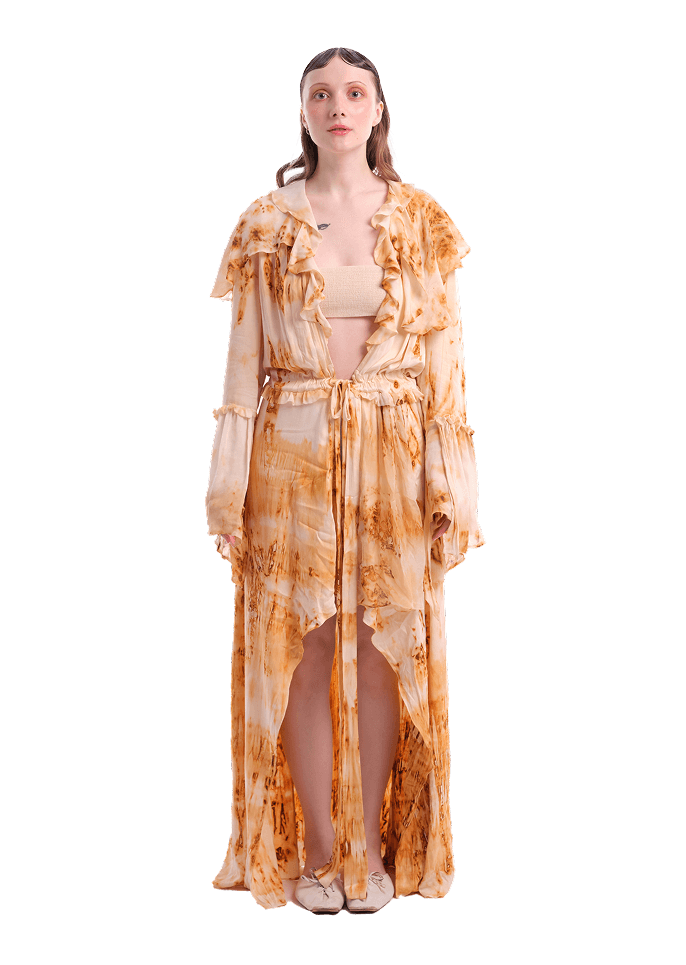 Dissolutio Vitis Solis